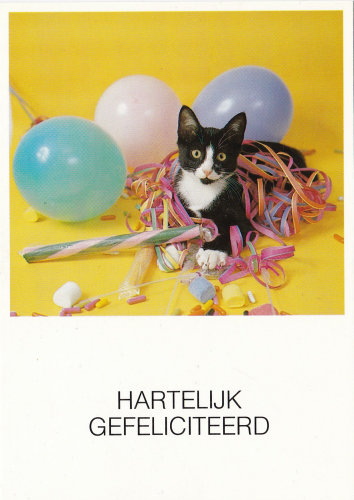 (image for) postcard Happy Birthday #0001